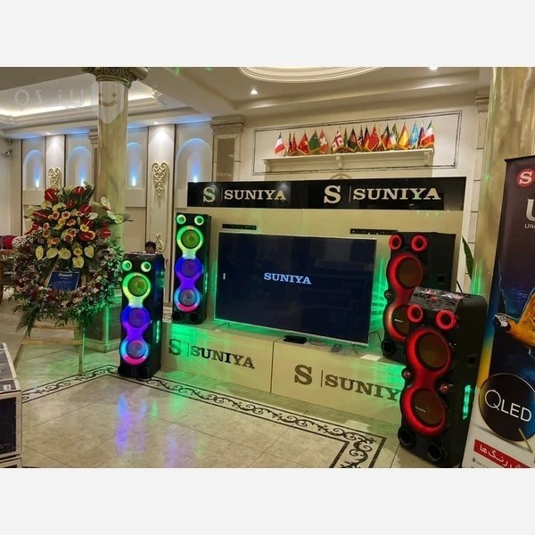 اسپیکر دوقلو سونیا مدل SU7070D12 قدرت ۳۰۰ وات